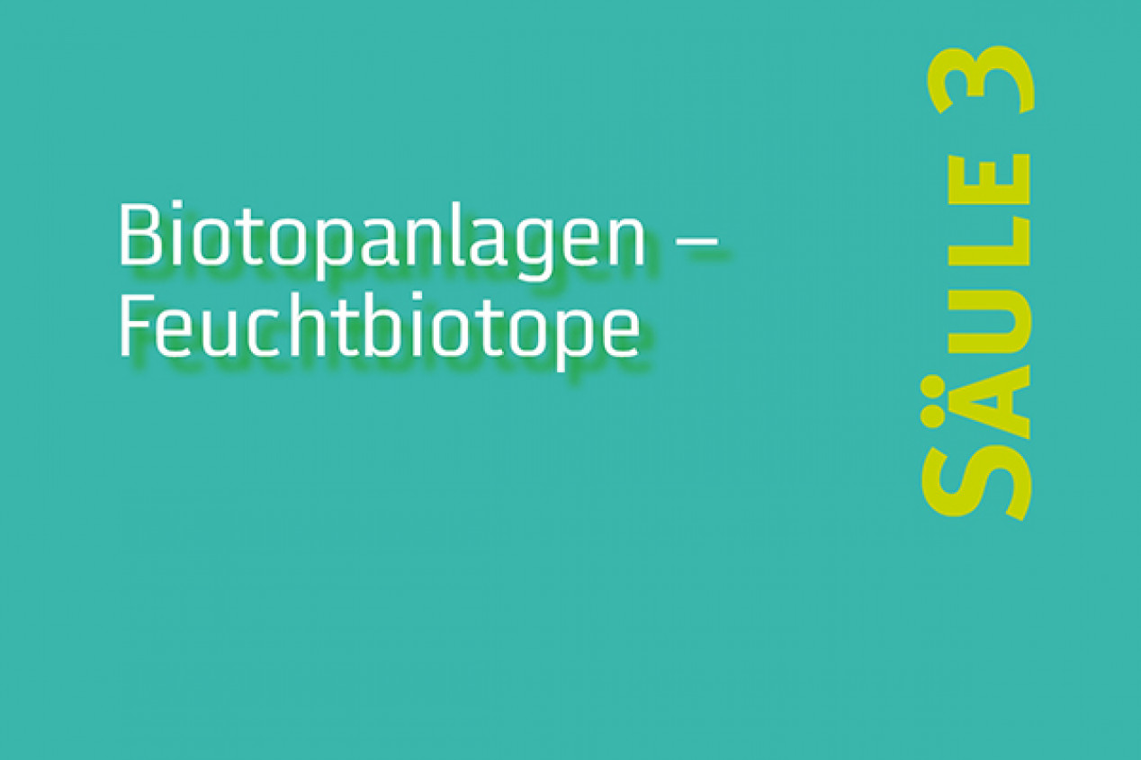 Säule 3 - Biotopanlagen - Feuchtbiotope