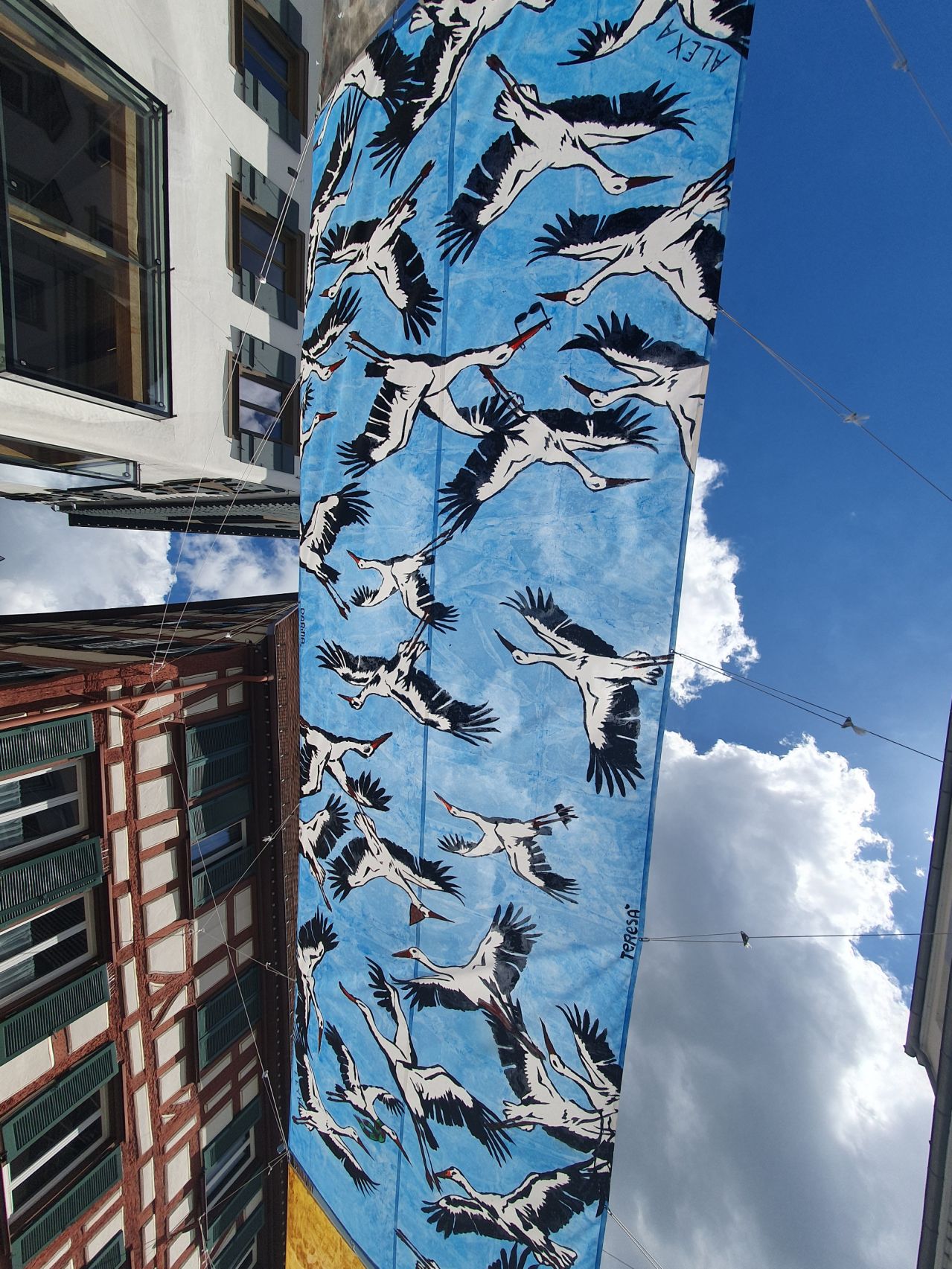 Rainer Leyk und Junges Kunsthaus: o.T.  