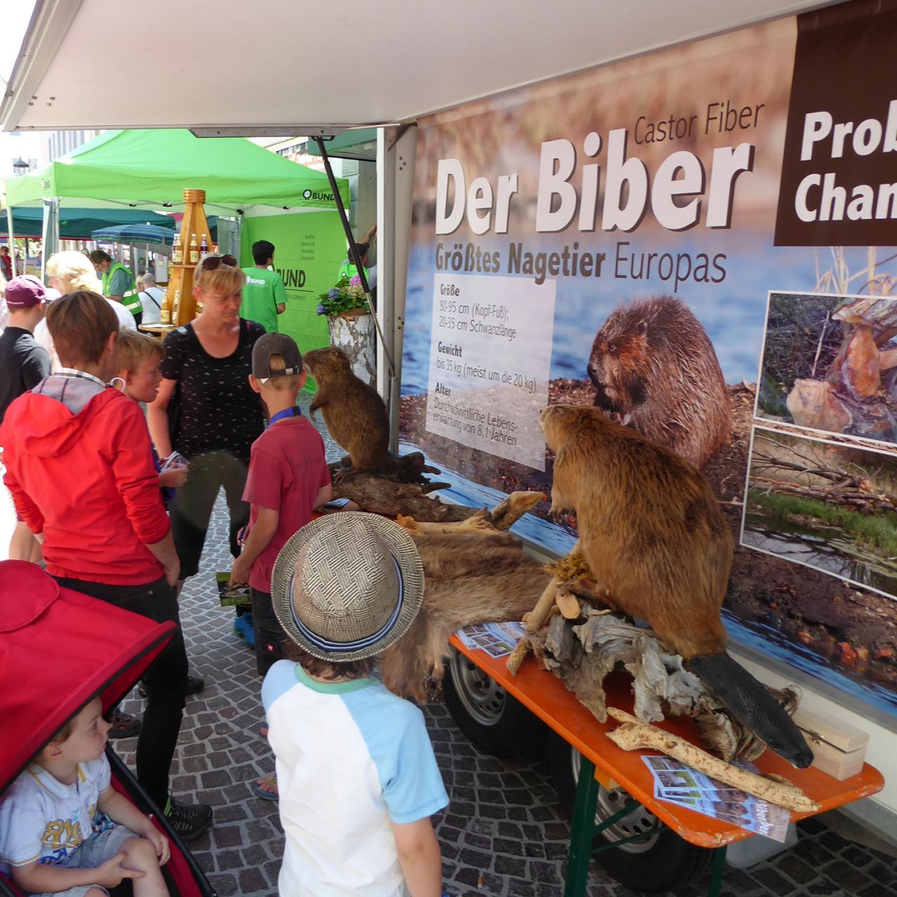 Öffentlichkeitsarbeit