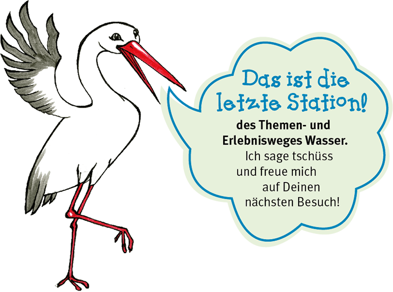 Storch Tom. Letzte Station