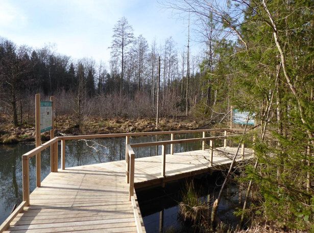 kleiner Steg am Erlebnisrundweg Wasser