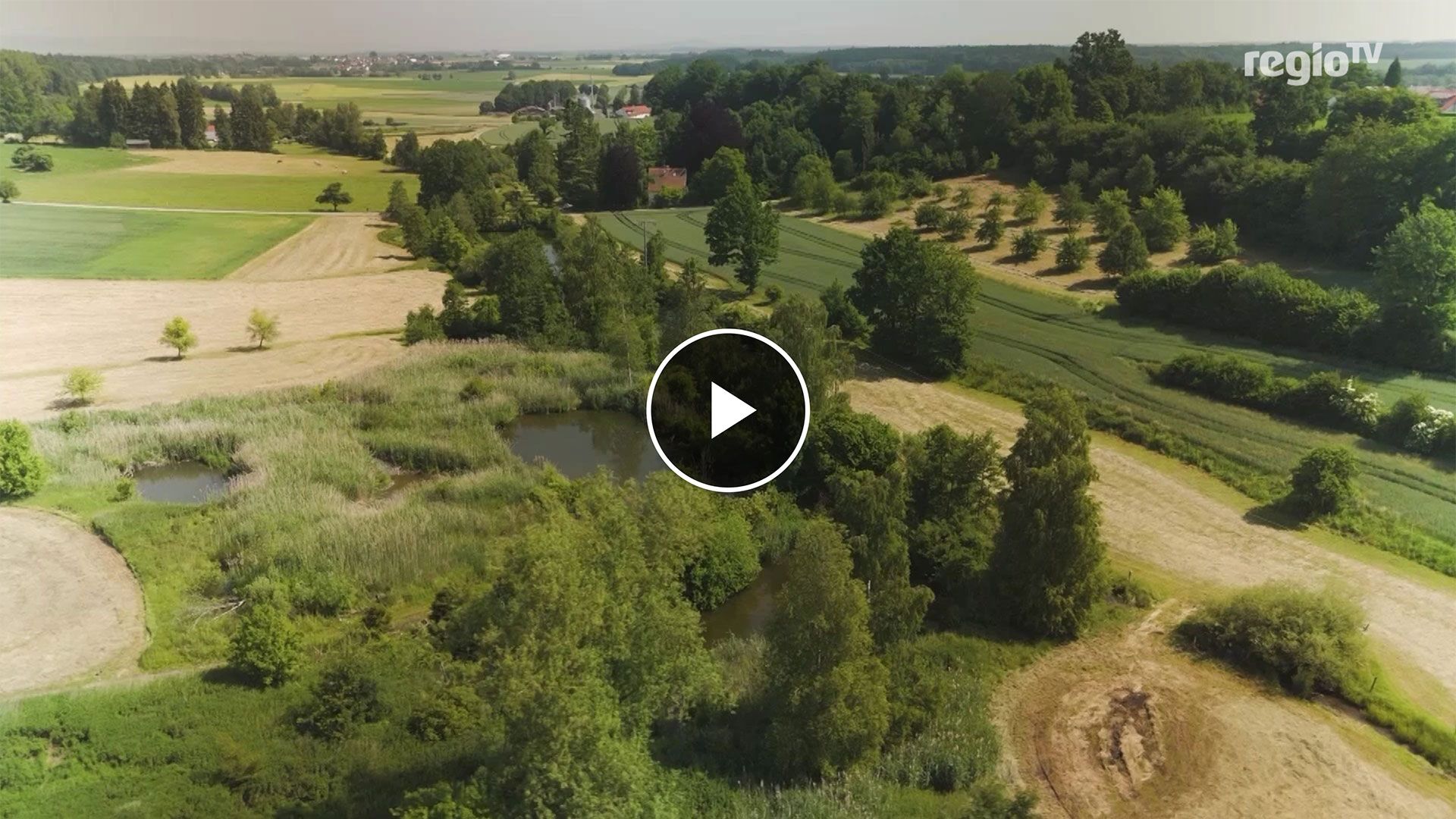 Link zum Video "Artensterben weltweit - Das ist die Antwort von Bad Saulgau"