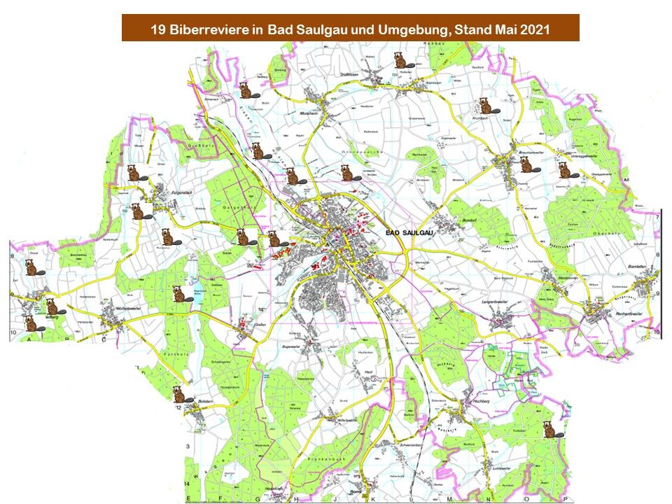 Biberreviere in Bad Saulgau, Stand Mai 2021